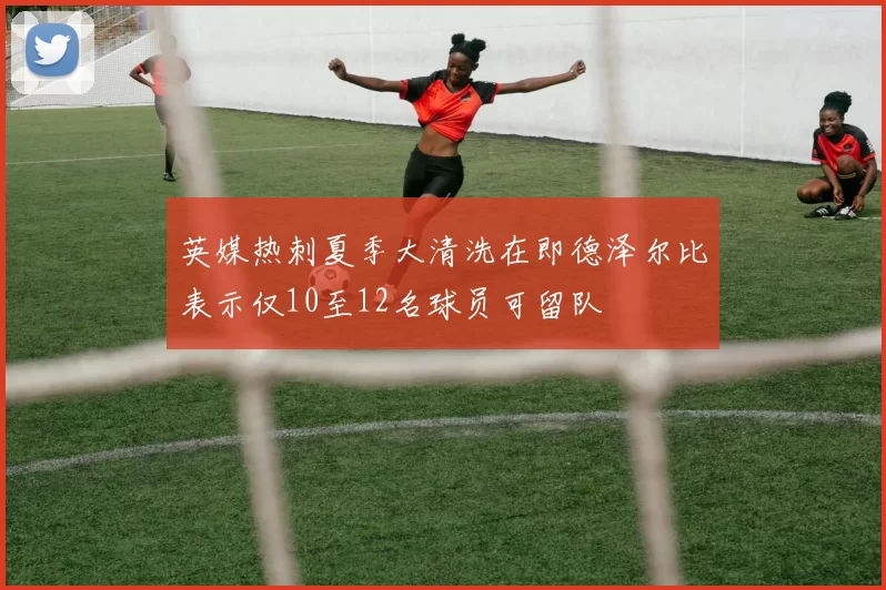 英媒热刺夏季大清洗在即德泽尔比表示仅10至12名球员可留队